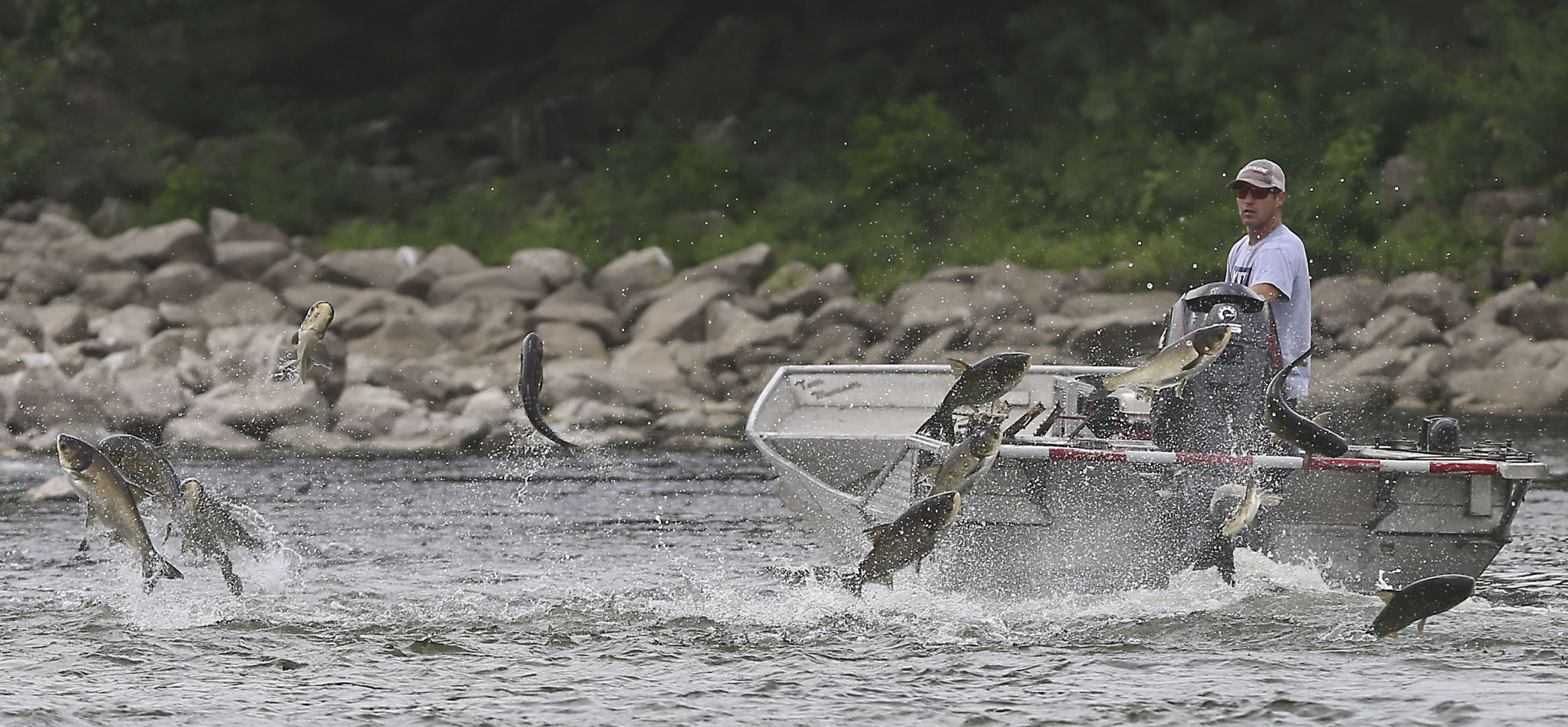 Asian_Carp 3 7.15.19.JPG